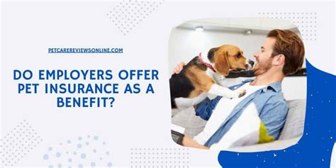 Do some employers offer pet insurance as a benefit, and could this trend be the secret to a more productive workplace?