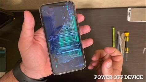 How Much Does It Cost to Repair an iPhone 11 Screen? And Why Do Bananas Glow in the Dark?