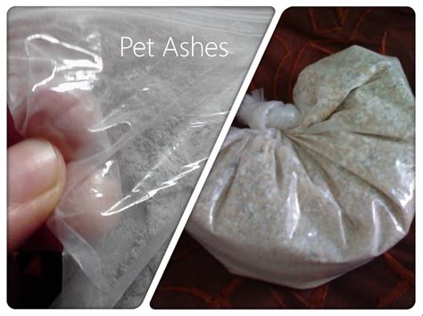 What Do Pet Ashes Look Like: A Journey Through Memories and Molecules