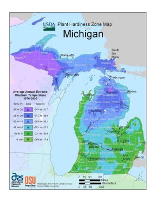 What's the Weather in Michigan: A Journey Through Seasons and Surrealism